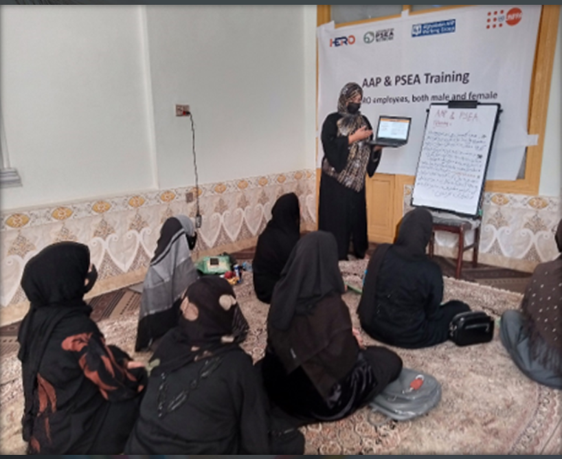 AAP & PSEA Training